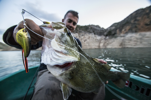Эхолот на зимней рыбалке