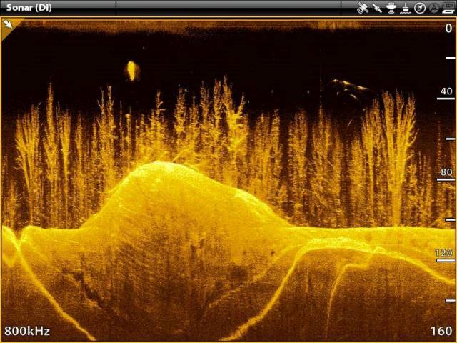 Технология Down Imaging