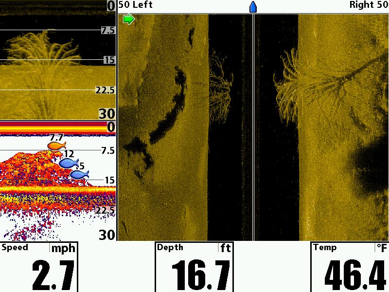 Технология Fish ID в эхолотах Humminbird